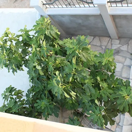 Apartament Adriatika